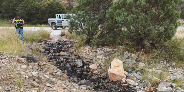 Joven Detenido por Presuntas Detonaciones de Arma de Fuego en Hermosillo