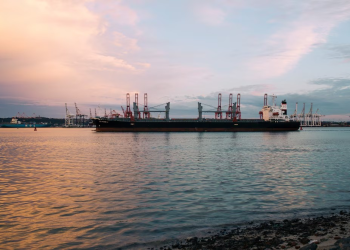Pese a freno judicial, planta de gas en Sonora que afecta al Golfo de California podría ocultar permisos para operar, alertan organizaciones