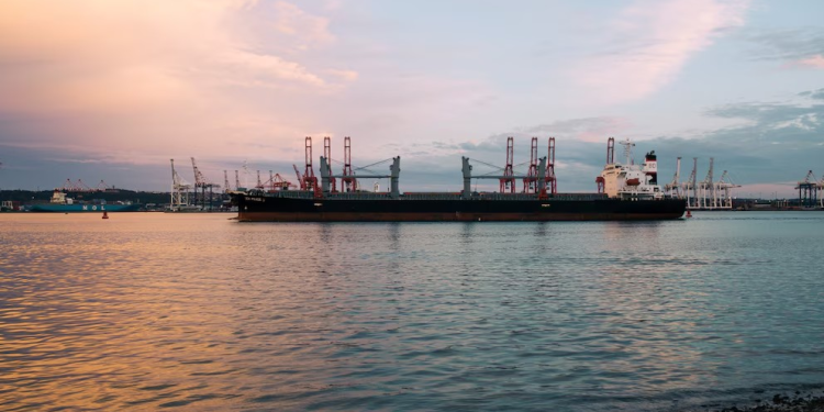 Pese a freno judicial, planta de gas en Sonora que afecta al Golfo de California podría ocultar permisos para operar, alertan organizaciones