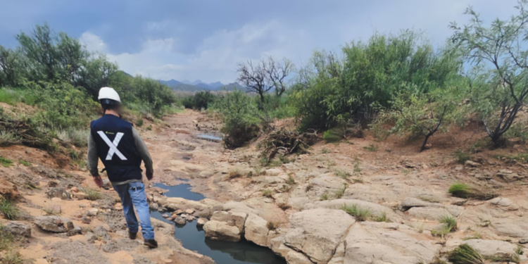 Alcalde de Naco Espera Dictamen que Confirme Muerte y Daños por Derrame en Naco, Sonora