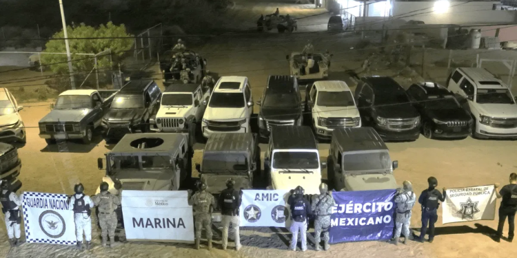Cateo en Puerto Peñasco deja 24 vehículos asegurados, 19 con reporte de robo en EU