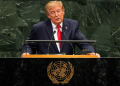 Trump Dice en la ONU que México Es el Epicentro de la Violencia de los Cárteles