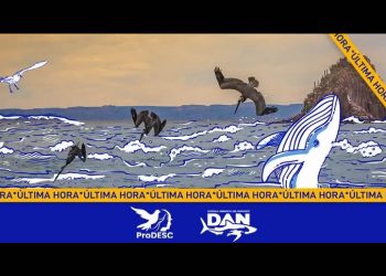 Juzgado federal ordena a la Semarnat y la ASEA revisar peticiones sobre proyectos de gas en el Golfo de California