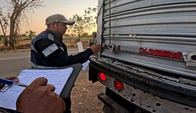 Inspecciona Agricultura más de 80 mil cargamentos y 5 millones de cabezas de ganado contra el GBG
