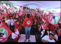 PRI, sobrevivir o desaparecer