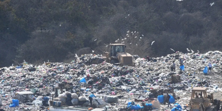 Hallan un feto entre la basura en el relleno sanitario de Hermosillo