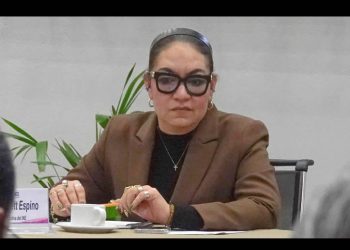 Renuncia secretaria ejecutiva del INE por motivos de salud
