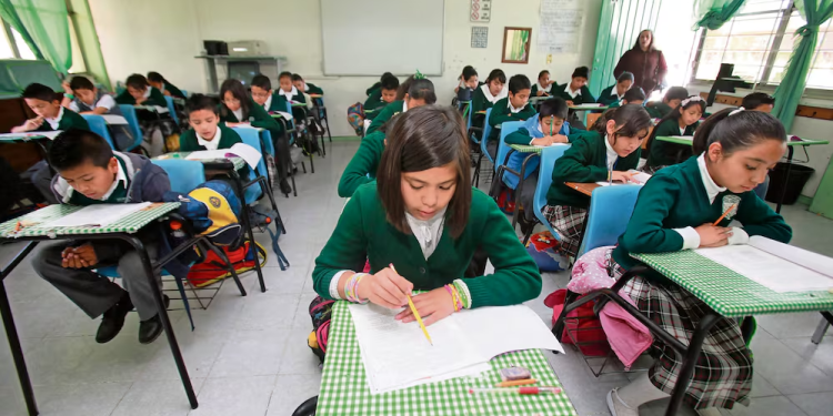 IMCO: resultado de prueba PISA se verá reflejado en la vida adulta de estudiantes; ve impacto negativo escolar y laboral