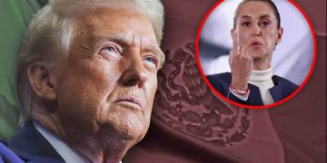 Delincuencia organizada impide a México entregar a Trump negocios estratégicos: Buscaglia