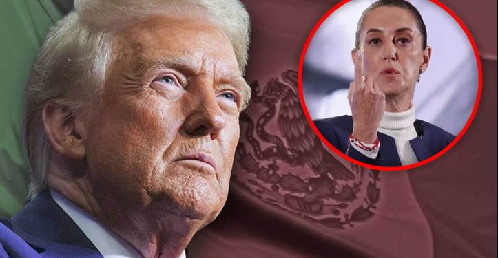Delincuencia organizada impide a México entregar a Trump negocios estratégicos: Buscaglia