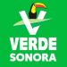 Niega el PVEM en Sonora amenazas al dirigente del Partido Sonorense