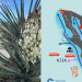 Exhibirán documental sobre posibles impactos ambientales del proyecto Saguaro