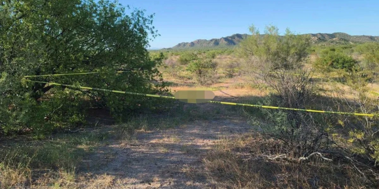 Madres Buscadoras de Sonora hallan dos cráneos humanos en predio privado de la carretera 26