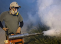 Sonora se convierte en epicentro nacional del dengue: supera los 1,860 casos y reporta 5 muertes