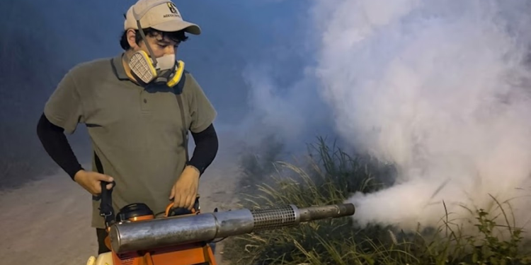 Sonora se convierte en epicentro nacional del dengue: supera los 1,860 casos y reporta 5 muertes