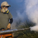 Sonora se convierte en epicentro nacional del dengue: supera los 1,860 casos y reporta 5 muertes