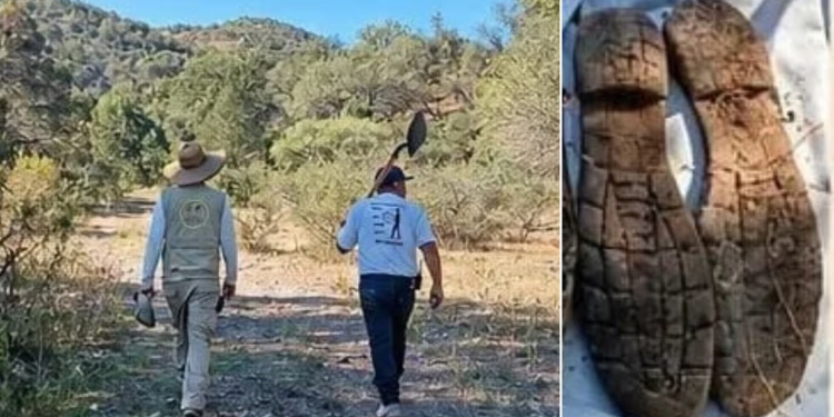 Colectivo de Búsqueda Encuentra a Mujer Sin Vida en San Luis Río Colorado