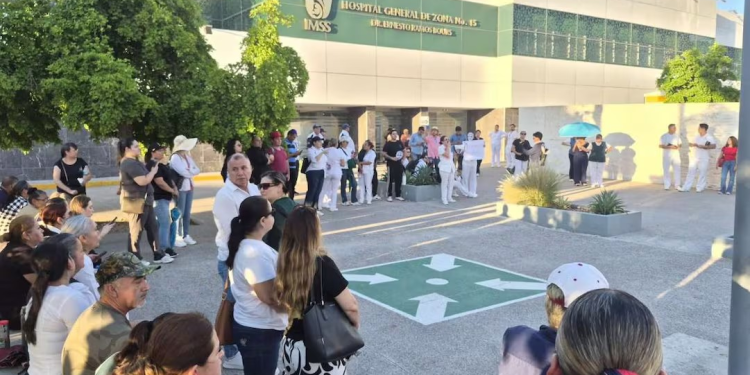Colectivos de Búsqueda Localizan Restos Óseos y el Cuerpo de una Mujer en Bácum y Cajeme