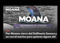 Organizaciones ambientalistas piden justicia para Moana y cierre del Delfinario a través de la plataforma Change.org