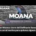 Organizaciones ambientalistas piden justicia para Moana y cierre del Delfinario a través de la plataforma Change.org