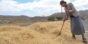 Precios mundiales de los alimentos se dispararon en septiembre a su nivel más alto en casi cuatro años