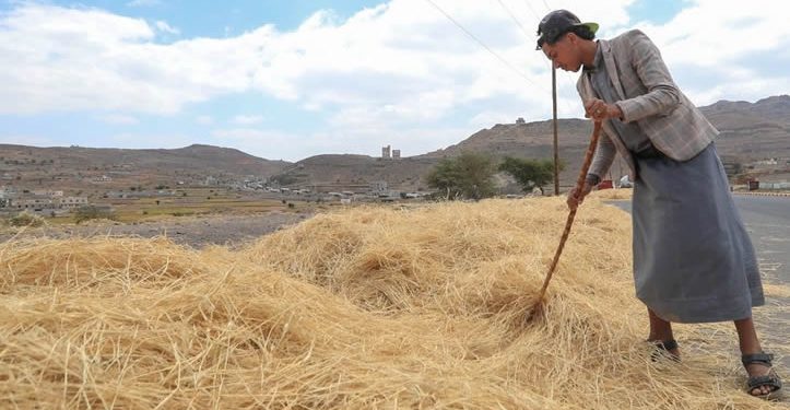 Precios mundiales de los alimentos se dispararon en septiembre a su nivel más alto en casi cuatro años
