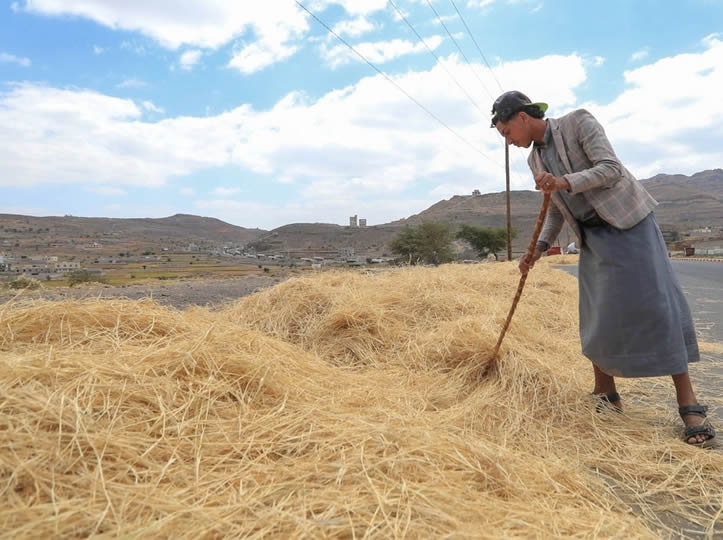 Precios mundiales de los alimentos se dispararon en septiembre a su nivel más alto en casi cuatro años