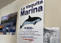 ¡Ganan los pescadores!, se reduce más el polígono de protección de vaquita marina