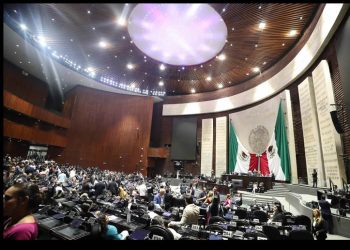 Diputados aprueban reforma sobre derechos de autor; incentiva retiro preventivo de contenidos: Artículo 19