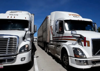 “Si el transporte se detiene, la economía de México se detiene”: Canacar anuncia paro nacional indefinido