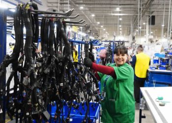 Sonora suma 5,315 empleos formales en septiembre, según cifras del IMSS
