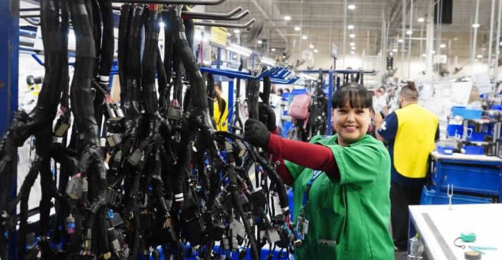 Sonora suma 5,315 empleos formales en septiembre, según cifras del IMSS