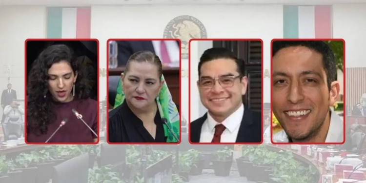 Los otros Taddei: los cargos públicos y vínculos con la 4T en Sonora y LitioMx