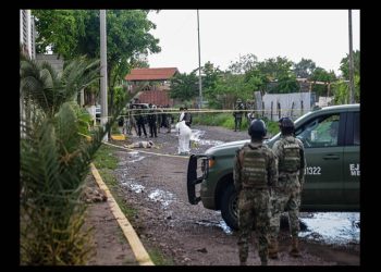 Promedio diario de homicidios bajó 52% en primeros dos años de gobierno de Sheinbaum