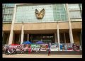 Trabajadores del IMSS anuncian “mañanera de la resistencia” y nueva marcha el miércoles