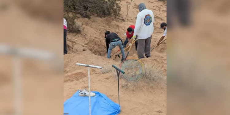 Colectivo de Búsqueda Encuentra a Mujer Sin Vida en San Luis Río Colorado