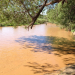 Semarnat reporta avances de caracterización ambiental en la cuenca del Río Sonora