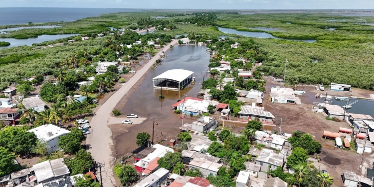 Industria porcícola en Sonora aún resiente afectaciones por el huracán ‘Polo’