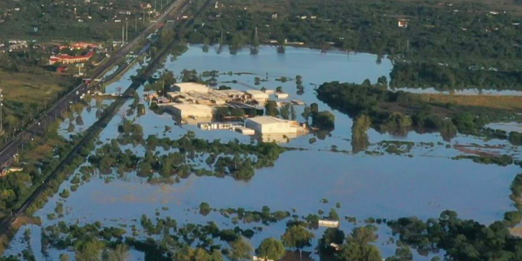 Opormex urge a Agricultura atender inundación del rastro TIF de Kowi en Sonora