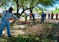 Avanzan jornadas intensas de limpieza en calles y camellones de Hermosillo