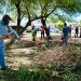 Avanzan jornadas intensas de limpieza en calles y camellones de Hermosillo