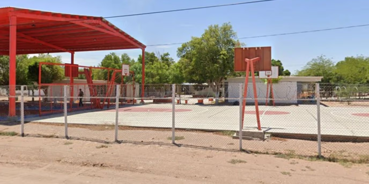 Colectivo de Búsqueda Encuentra a Mujer Sin Vida en San Luis Río Colorado