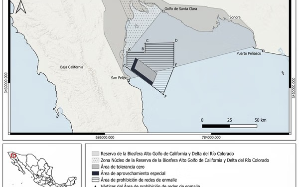 Eliminan 86% del Polígono de Protección de la Vaquita Marina para Impulsar Pesca
