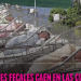 “Heces fecales caen en las cunas de los bebés”: enfermera del IMSS en Ciudad Obregón acusa falta de higiene