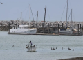 Por recomendación internacional, Semarnat reactiva la pesca en el refugio de la vaquita marina