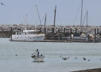 Por recomendación internacional, Semarnat reactiva la pesca en el refugio de la vaquita marina