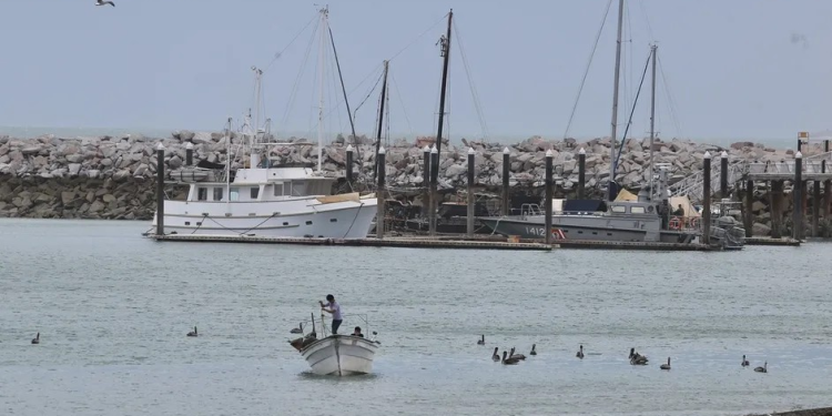 Por recomendación internacional, Semarnat reactiva la pesca en el refugio de la vaquita marina
