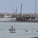 Por recomendación internacional, Semarnat reactiva la pesca en el refugio de la vaquita marina