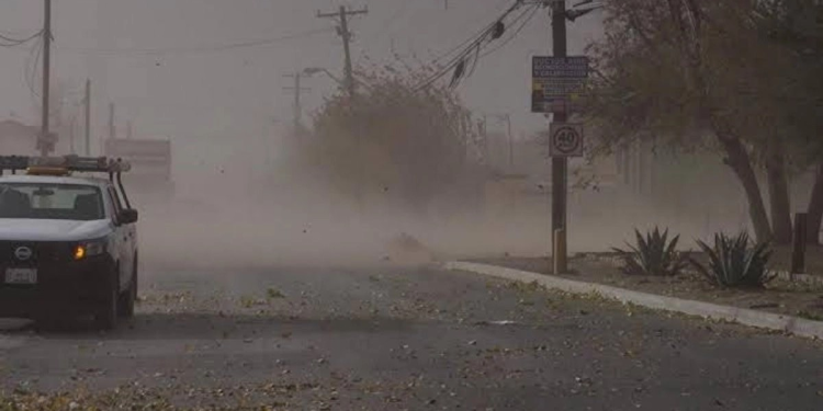 Alertan en Sonora por rachas de viento de hasta 110 kilómetros por hora; prevén caídas de árboles y postes