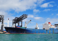 Coalición exige revisión integral de impactos en el Golfo de California